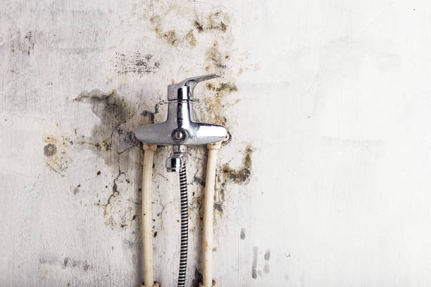 Best Residential Mold Remediation in Marion, OH