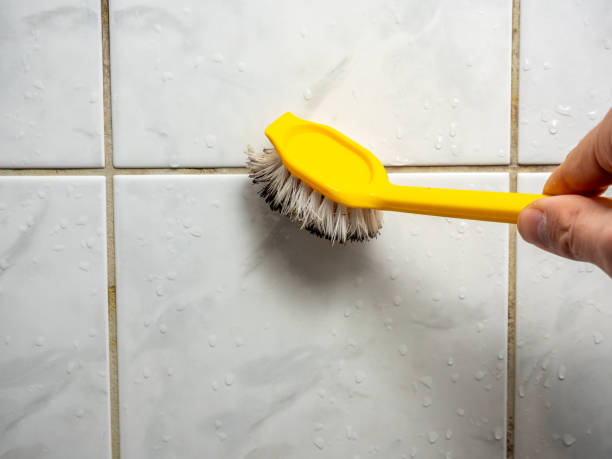  Marion, OH Mold Removal Pros