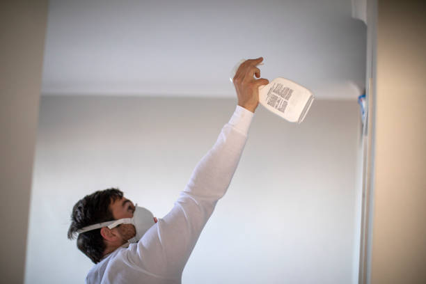 Best White Mold Remediation in Marion, OH