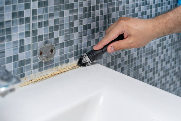 Best Bathroom Mold Remediation in Marion, OH