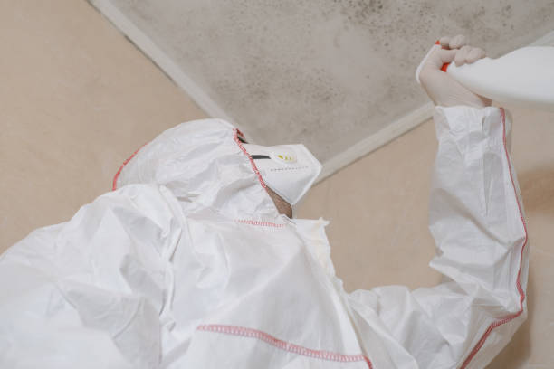 Best Commercial Mold Remediation in Marion, OH